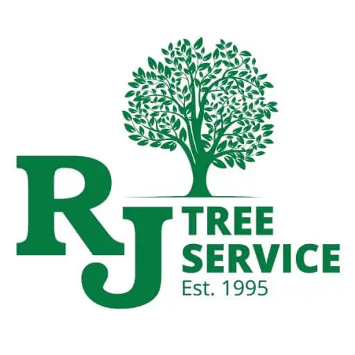 Tree Service In Birmingham, AL RJ Tree Service